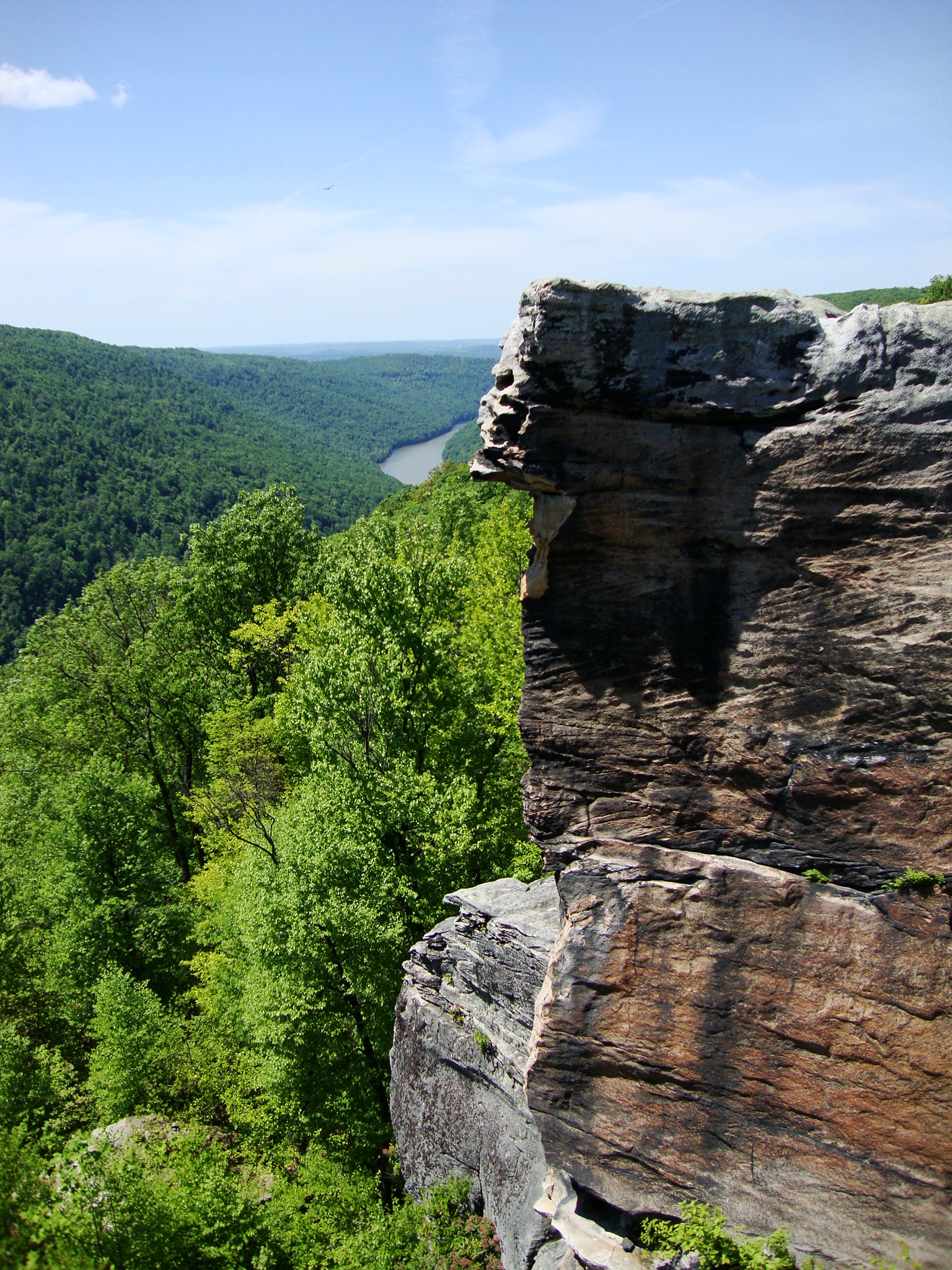 View from Cooper's Rock, Morgantown, WV